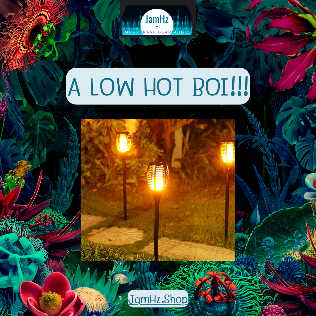 A Low Hot Boi